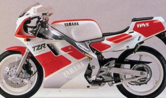 1989 Yamaha TZR 250