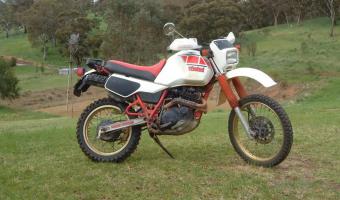 Yamaha XT 600 Tenere (reduced effect)