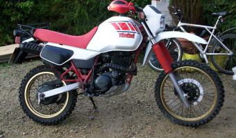 1985 Yamaha XT 600 Tenere