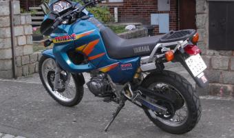 1995 Yamaha XT Z 660 Tenere