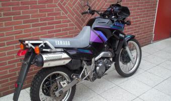 1998 Yamaha XT Z 660 Tenere #1