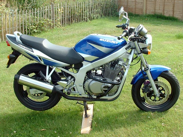 2001 Suzuki GS 500 E #10