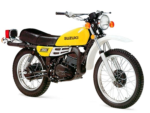 Suzuki RM 100 #8