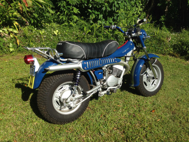 1981 Suzuki RV 125 #9