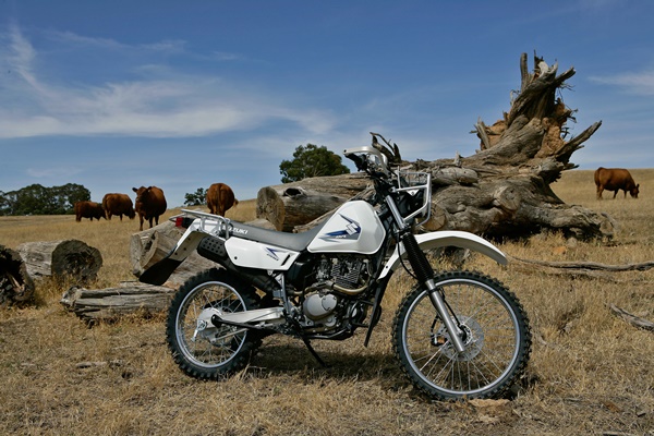 Suzuki Trojan #8