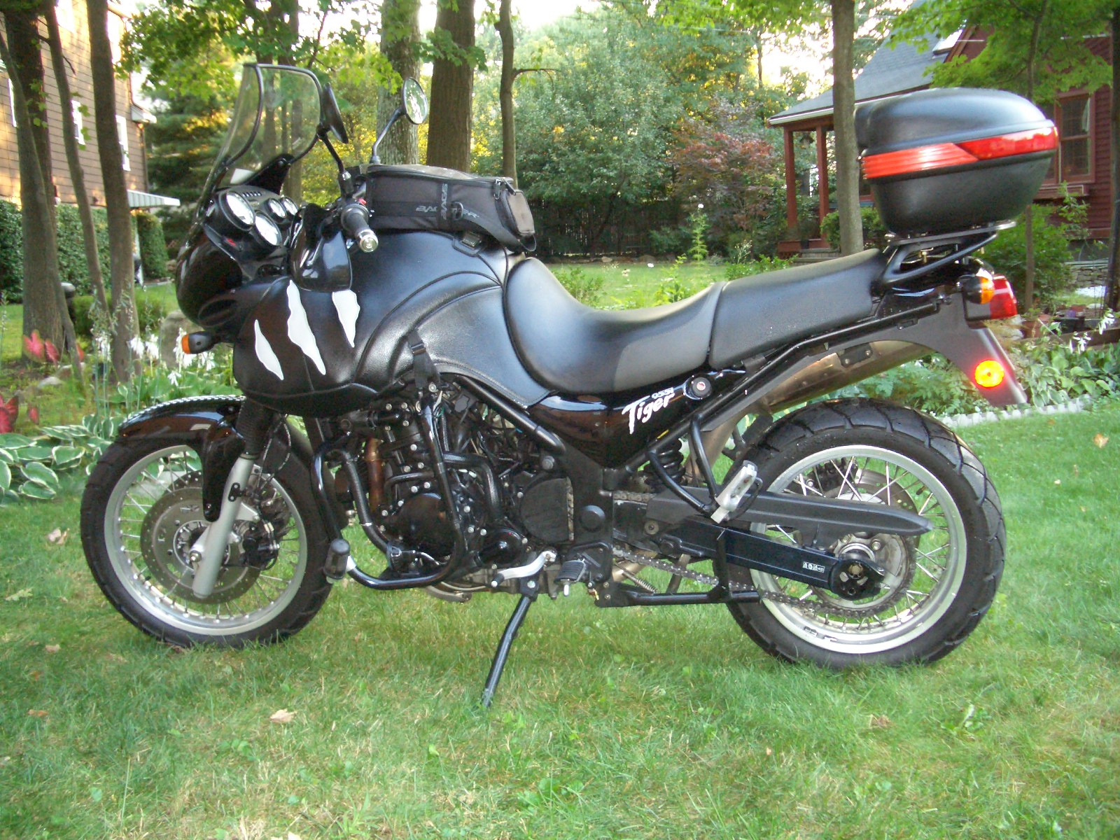 2001 Triumph Tiger 955i #10