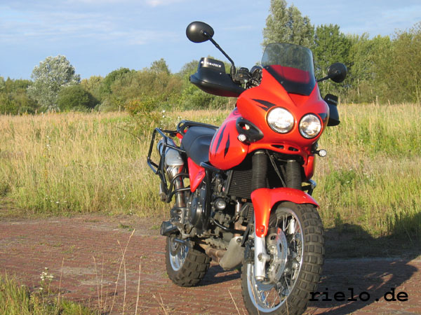 Triumph Tiger 955i #10