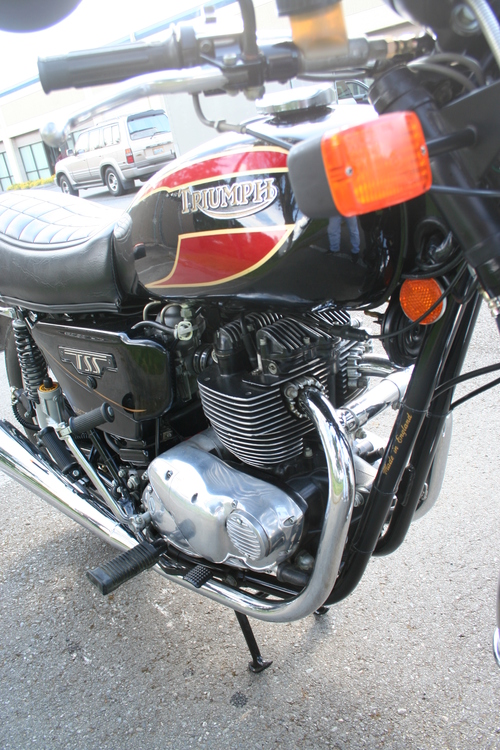 Triumph TSS #9