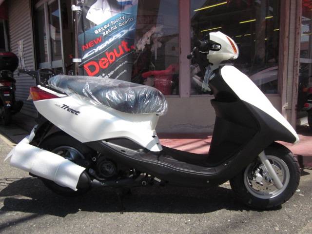 Yamaha Axis Treet #8