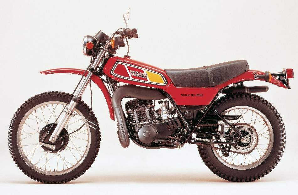 1982 Yamaha DT 250 MX #8