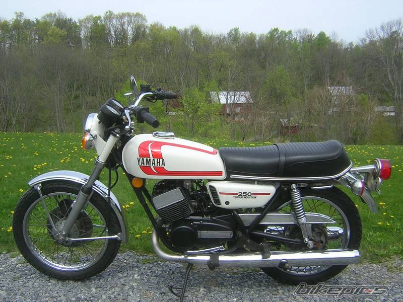 1982 Yamaha RD 250 LC (reduced effect) #9