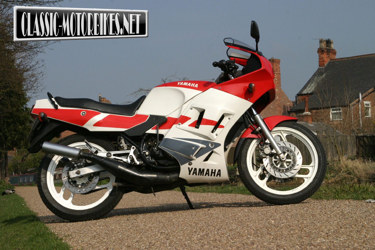 Yamaha RD 350R YPVS #7