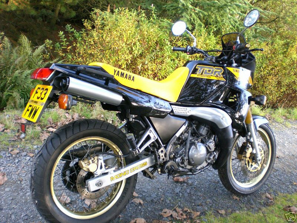 1990 Yamaha TDR 250 #8