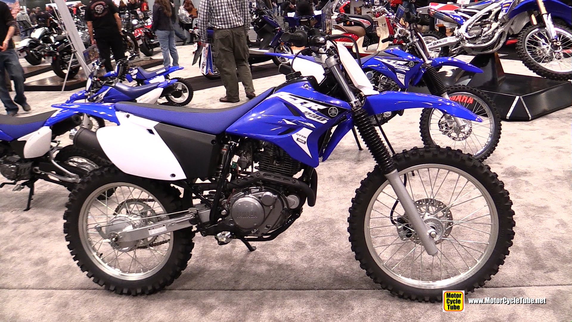 2014 Yamaha TT-R 230 #10