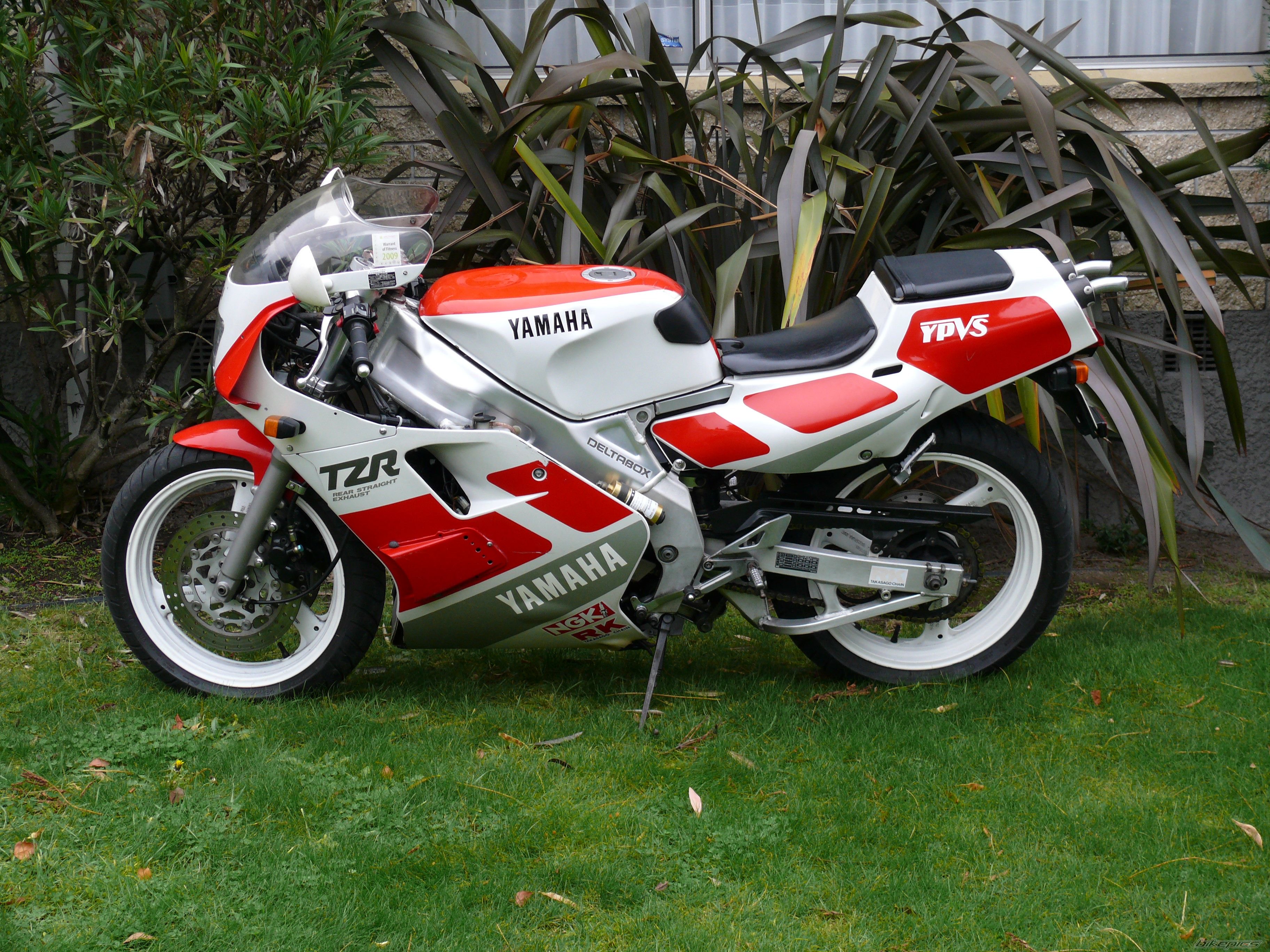 1989 Yamaha TZR 250 #9
