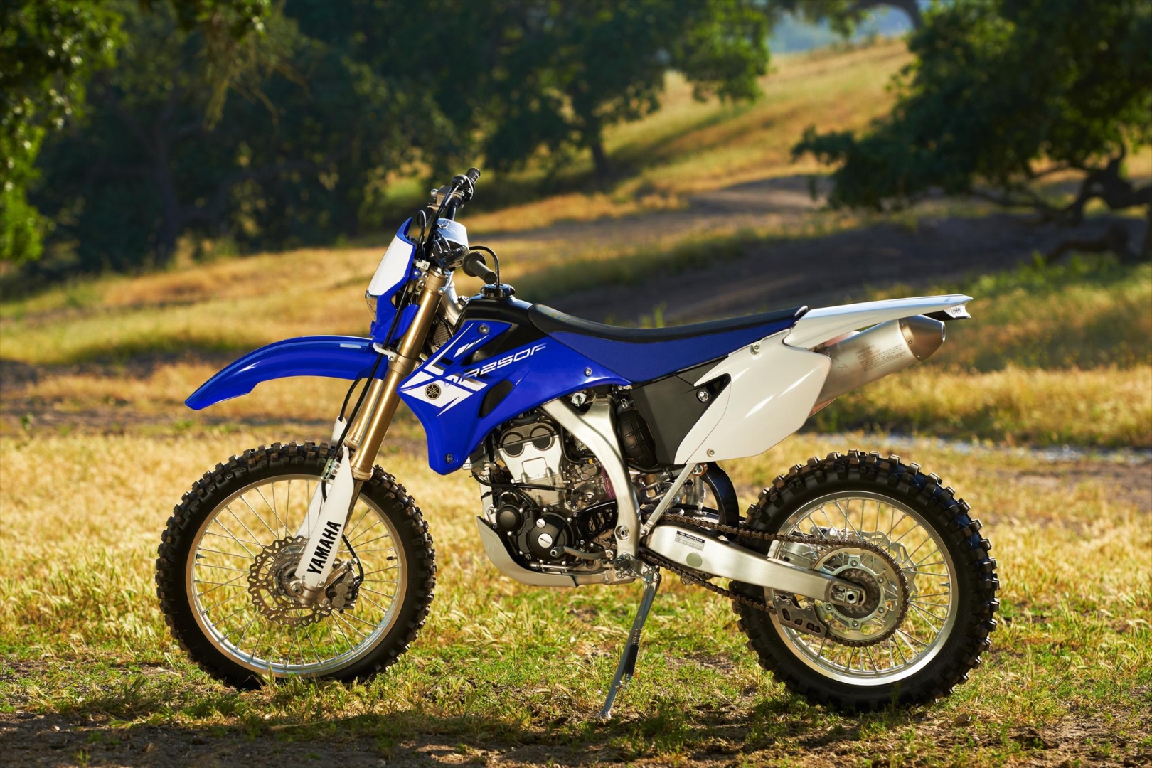 2014 Yamaha WR250F #8