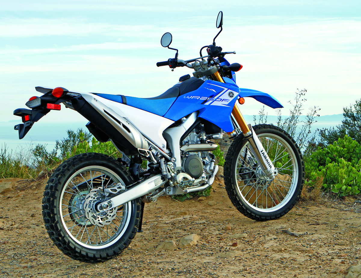 2014 Yamaha WR250R #10