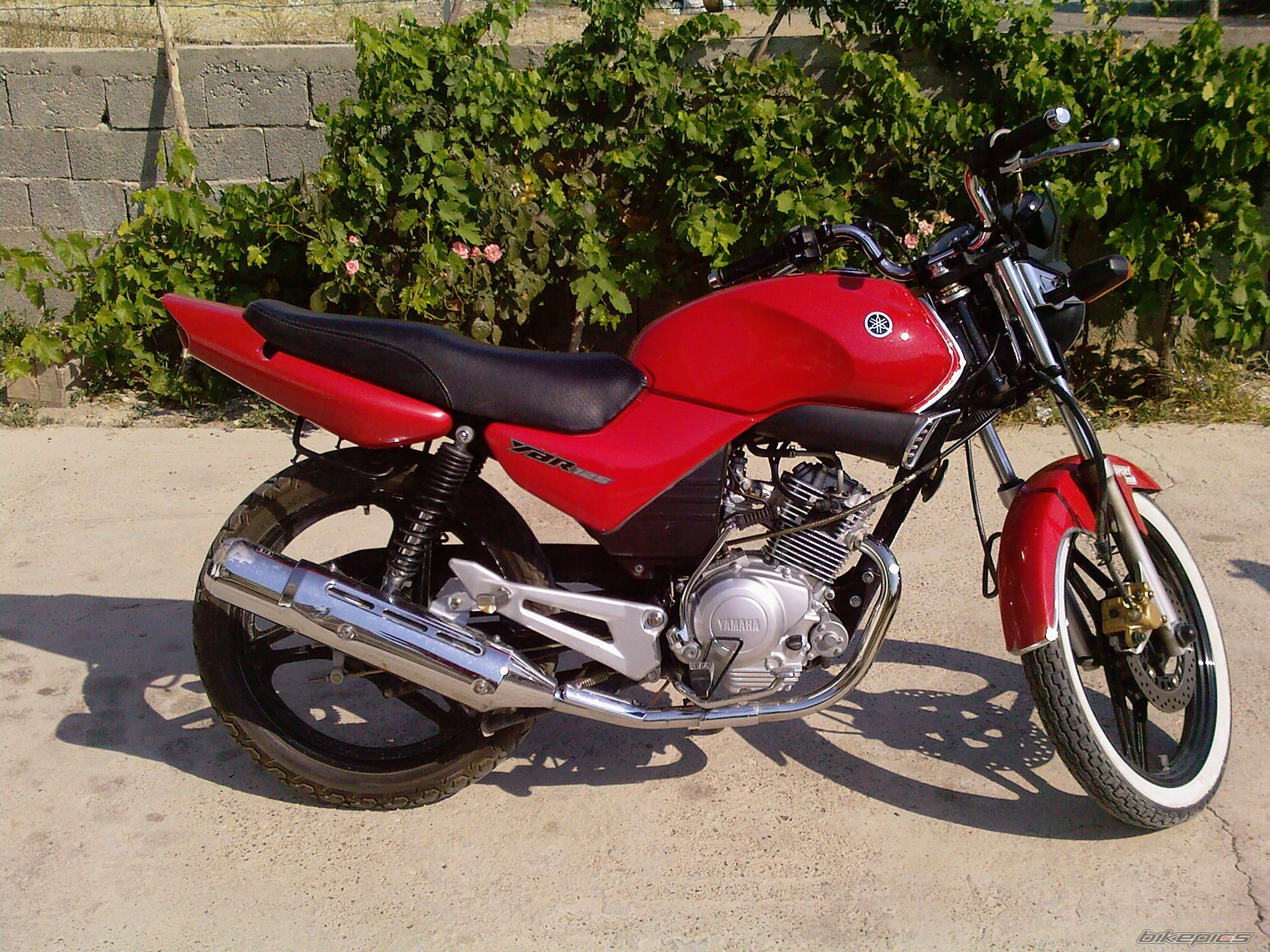 2008 Yamaha YBR 125 #8